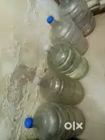 Pani bolot 20 liter