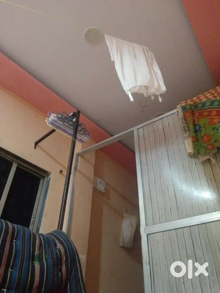 Need room mate
