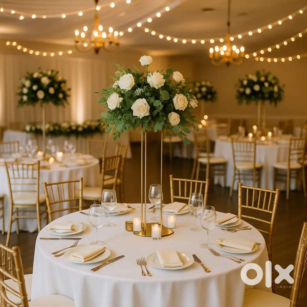 Event Helper / Assistant Available Parwanoo Kalka Pinjore &NearbyAreas