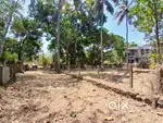 10 cent Plot/3.5 lakh per cent – Kottekad   Thrissur