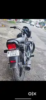 with roots horn