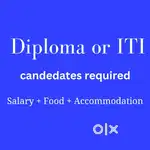 Wanted Technicians