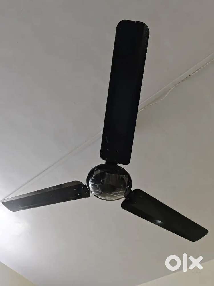 Ceiling Fan