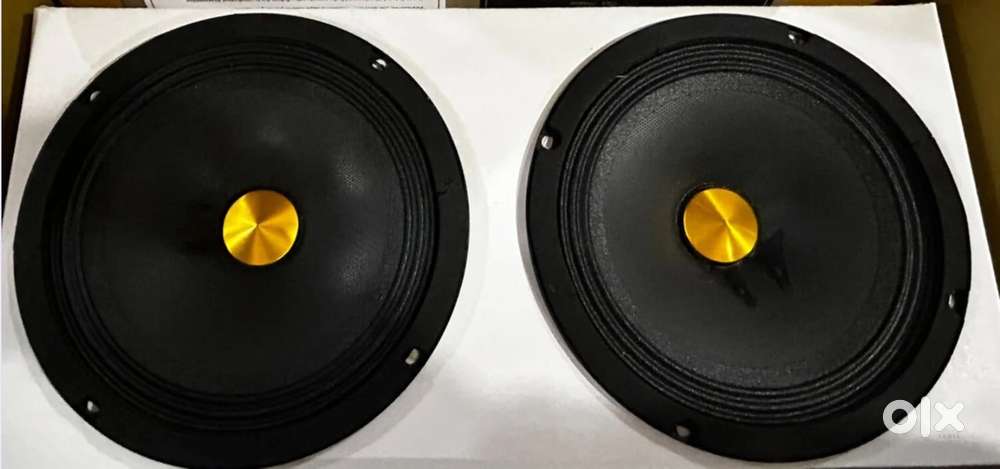 Bowstricks 150rms mids speaker