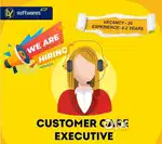 Looking for customer service executive