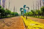 6marla plot near DPS school