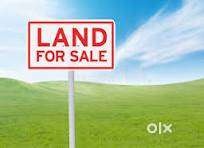 Registered land for sale