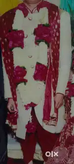 Groom sherwani