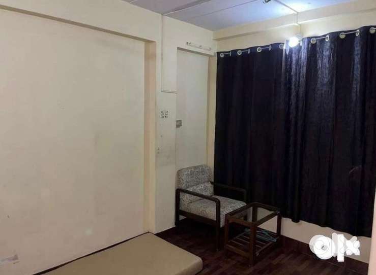 I Need A Professional Roommate