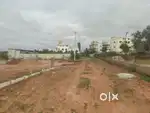 Dattagalli