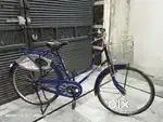 Lady Cycle