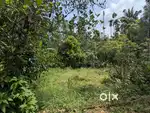 30 Cents Residential Land for Sale in Ashtamichira – Ideal for Housing