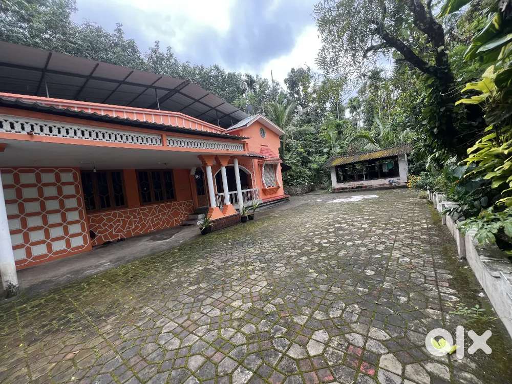 WELL MAINTAINED COFFEE LAND WITH HOUSE IN PULPALLY