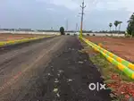 Budget plots with kauda approval