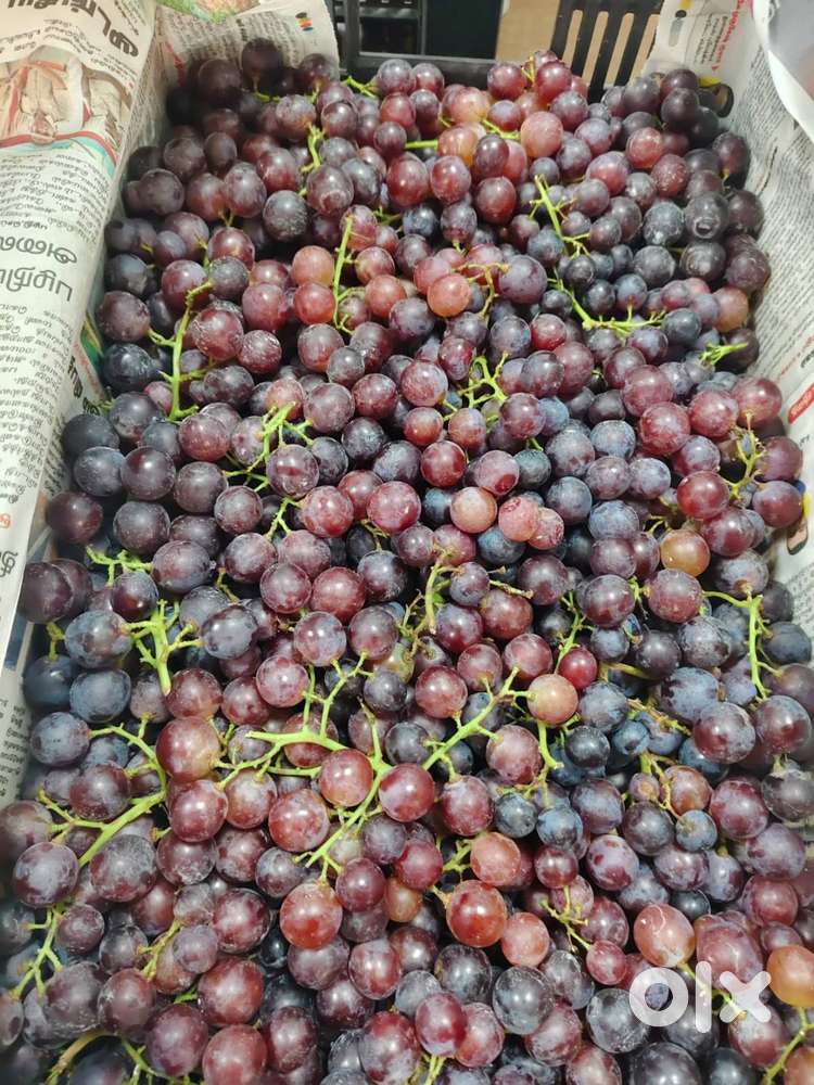 Grapes for sale
