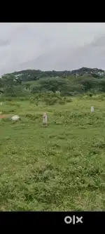 Plot at LALGADI 378 Sq yards selling in lownprice 9,000 per sq yards