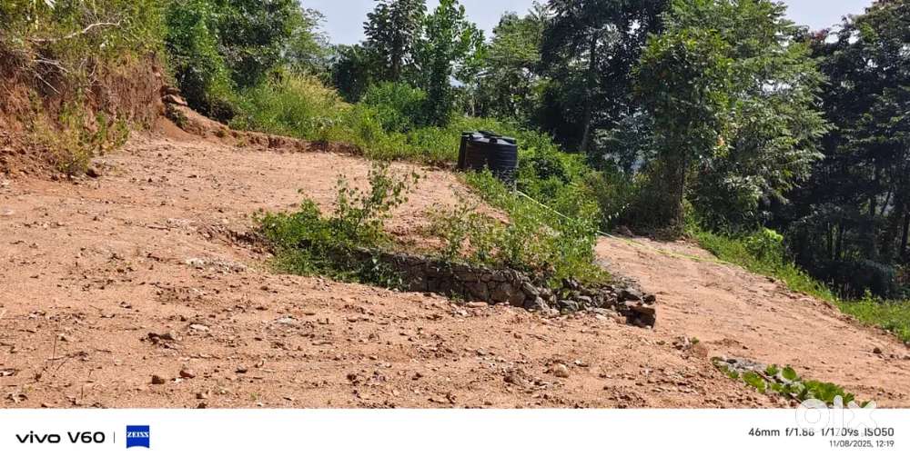 Kothamangalam Nellimattom @⁶⁹ lakhs 46 cent for sale