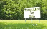 This land is 12 decimal and it is in surjanagar