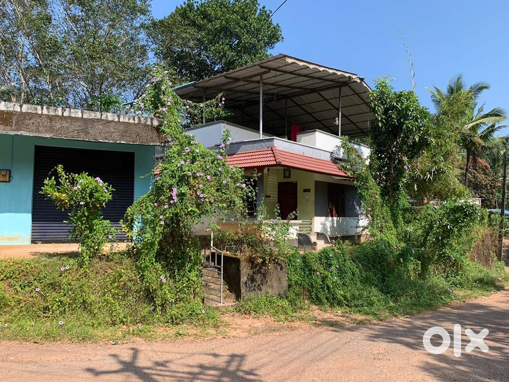 Shop for Rent   Malackal  Godwn  Warehouse  Shops  Retail