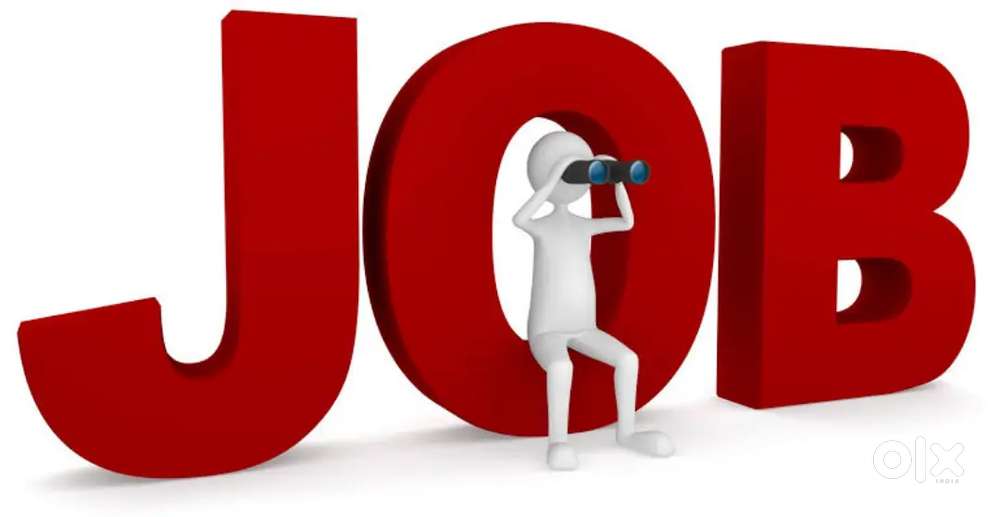 Latest Office Job Vacancy - Full & Part Time