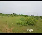 6.5 cents of east facing plot for sale. Near to RACHANAPALLI Bridge.