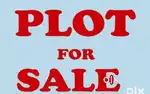 80 gaj plot for sale bichpuri road near sher e punjab hotel