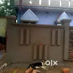 Single or sharing room needed (Urgent)