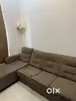 6 month old sofa