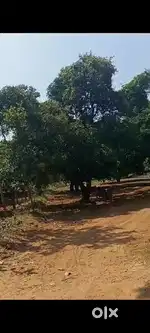 10 acrs agriculture land for sale