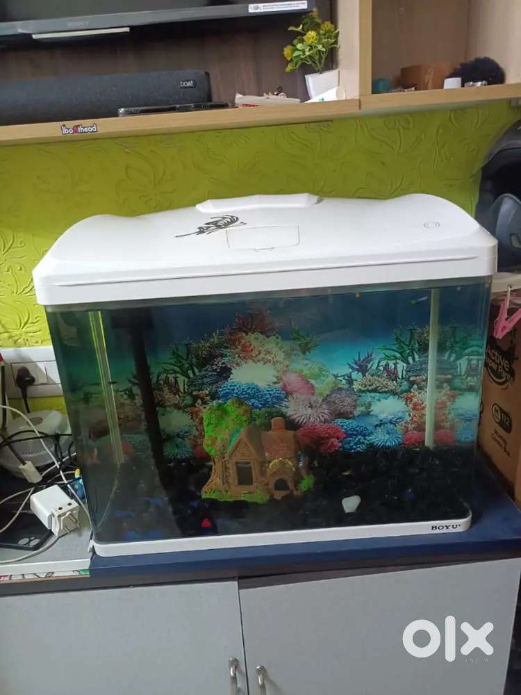 I am selling fish tank
