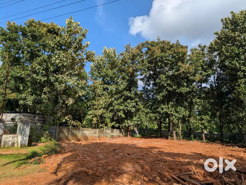 Amazing Land for Sale next to NH69