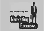 Sales & Marketing Executive
