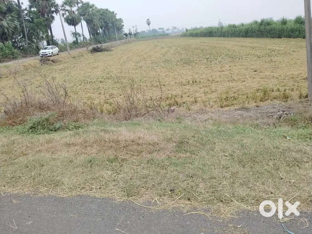 Kankipaadu Agriculture land for sale