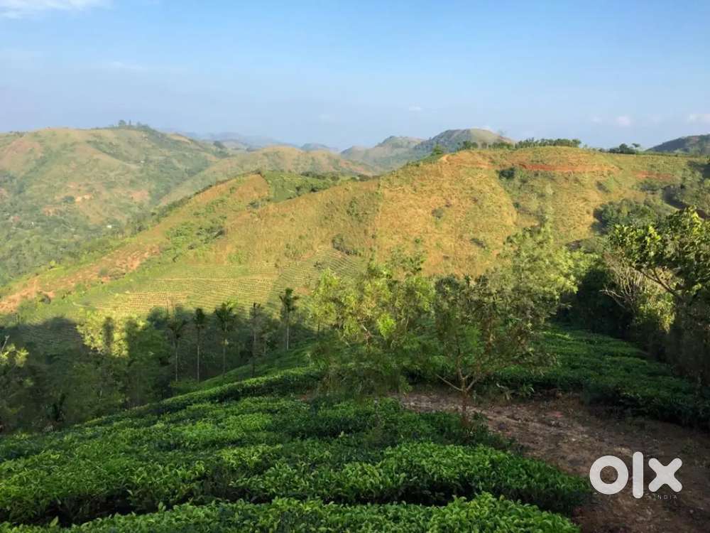 3 star Resort for Lease in Vagamon Ideal for Hospitality Brands