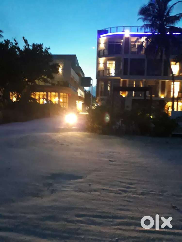 Room boy cleaning staff