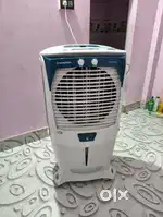 Cooler 55 liter