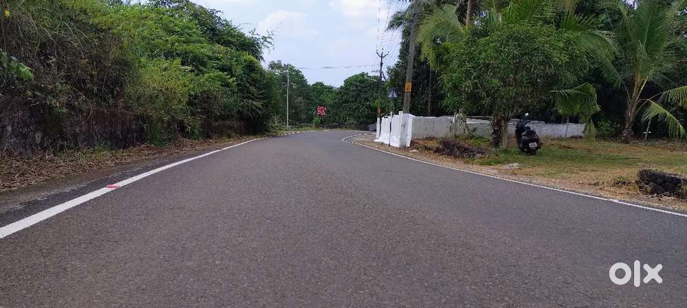 10 CENT LAND FOR SALE AT MAIN ROAD FRONT ANGAMALY KARUKUTTY