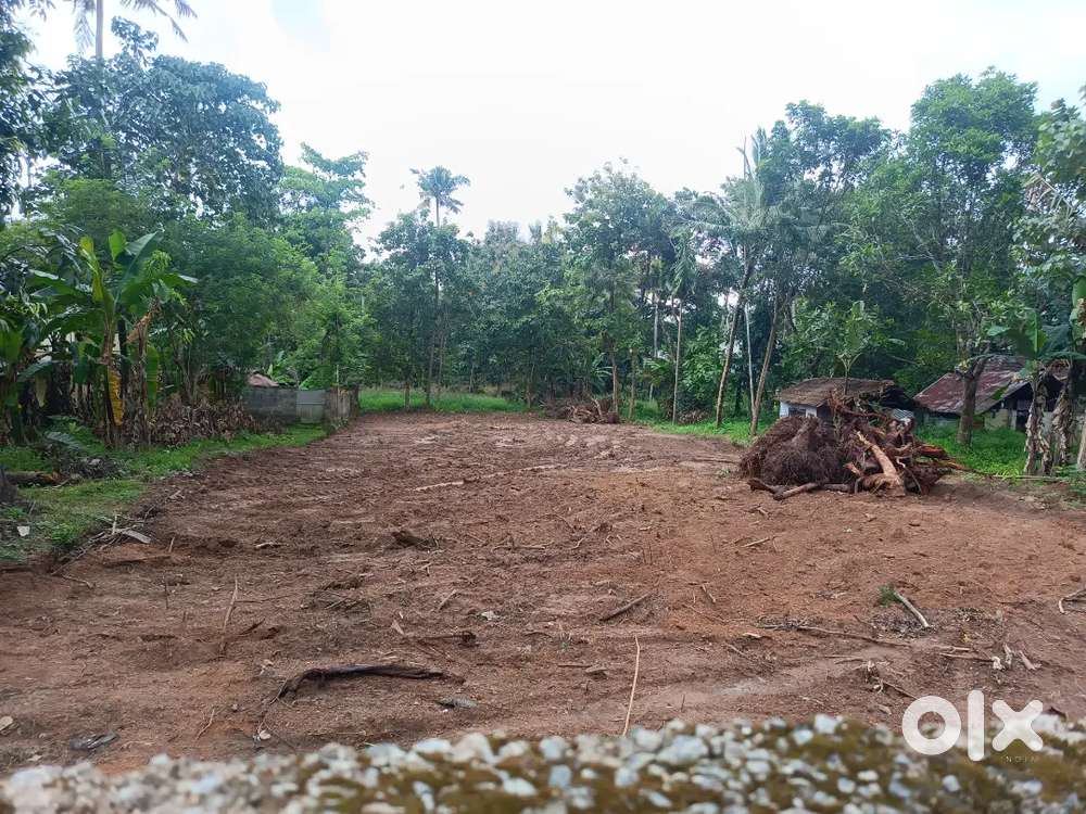 Land for rent or lease