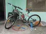 New cycle only for your (Rajnagar Chhatarpur Madhya Pradesh)