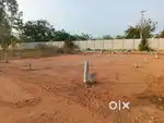 242 sq yards open plot for sale near to main road