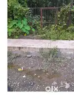 4.5 aecer ki wadi urgent Bechna he