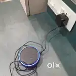 Brand new Alexa 100% guarantee full new .