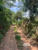 10 Cent house plot@Wayanad,Kuttimoola
