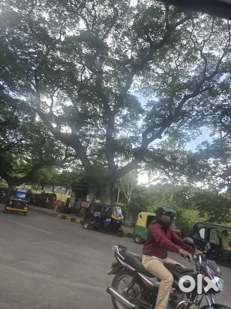 Wanted a full time assistant manager for a tea shop