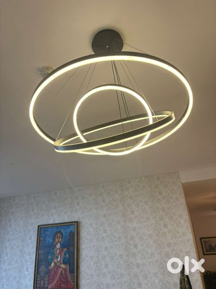 Beautiful ring pendant light dor showrooms and offices