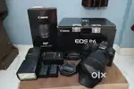 Canon R6 camera