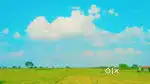 1 acre agricultural land