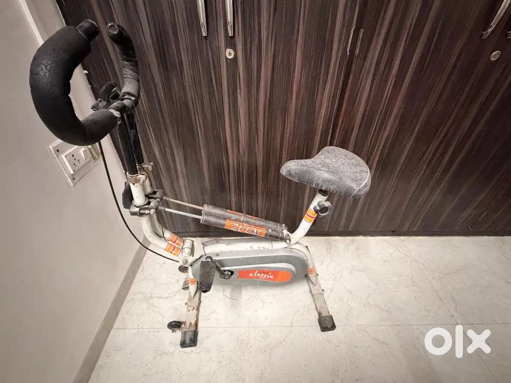 exercise bike (old but working)