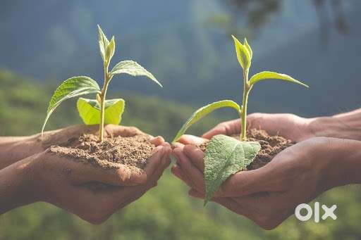 23 gunthe on Nanded hyderabad highway touch