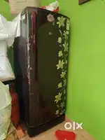 2021 model fridge